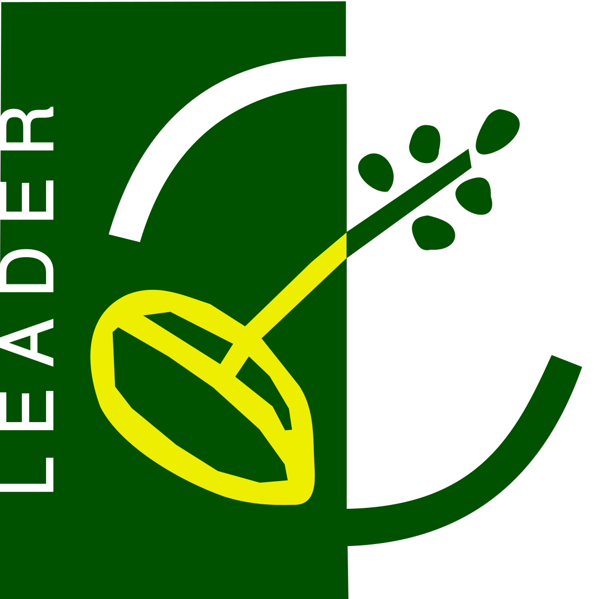 1200px LEADER Logosvg1